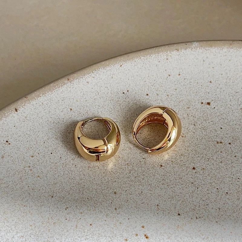 Boucles d’Oreilles Créoles S925 – Argent Sterling, Design Incrusté Élégant